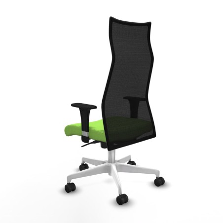 Chaise de Bureau Albacete Piqueras y Crespo B1C026N Pistache