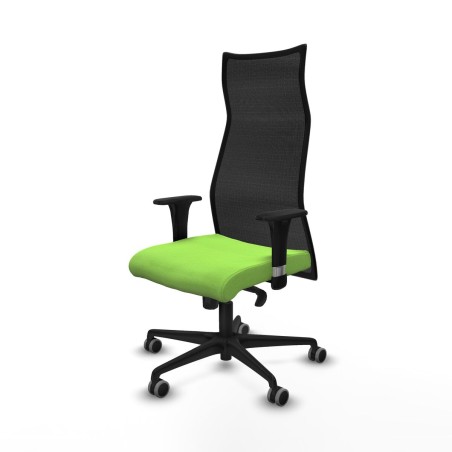 Office Chair Albacete Piqueras y Crespo B1C036G Pistachio