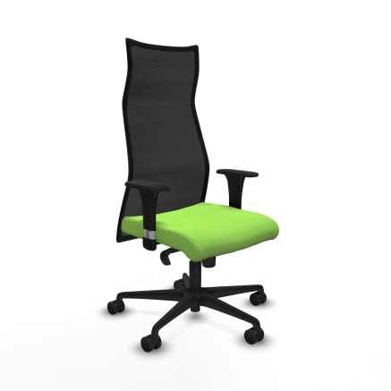 Office Chair Albacete Piqueras y Crespo B1C036N Pistachio
