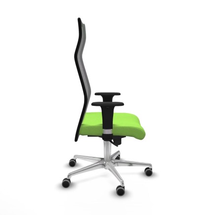 Sedia da Ufficio Albacete Piqueras y Crespo B1C086G Pistacchio 2