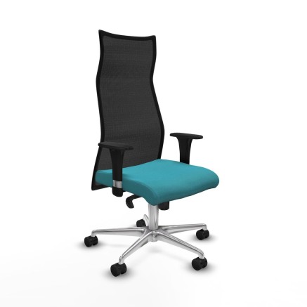 Chaise de Bureau Albacete Piqueras y Crespo B1C086N Turquoise