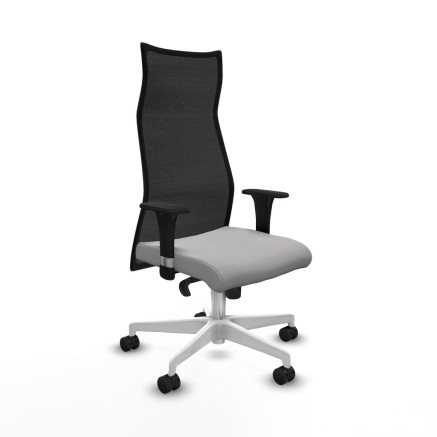 Chaise de Bureau Albacete Piqueras y Crespo B1C026N Gris clair