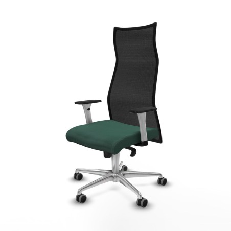 Chaise de Bureau Albacete Piqueras y Crespo B1B086G Vert