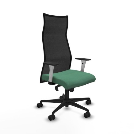 Chaise de Bureau Albacete Piqueras y Crespo B1B036N Vert émeraude