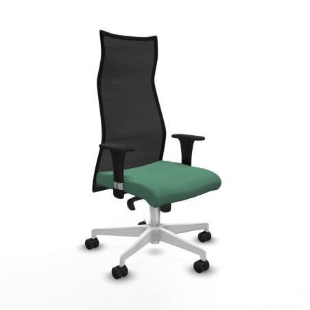 Chaise de Bureau Albacete Piqueras y Crespo B1C026N Vert émeraude
