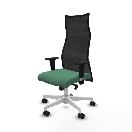 Chaise de Bureau Albacete Piqueras y Crespo B1C026N Vert émeraude