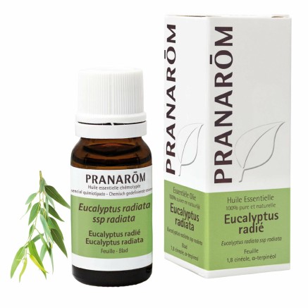 Aceite Esencial Pranarôm  Eucalipto 10 ml 2