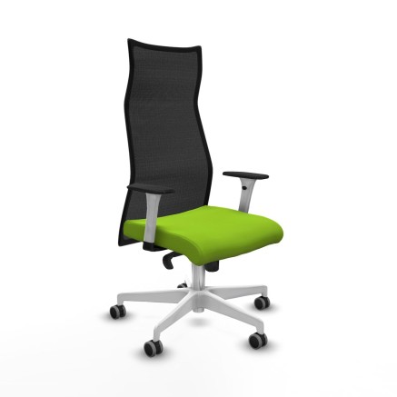 Chaise de Bureau Piqueras y Crespo B1B026G Pistache