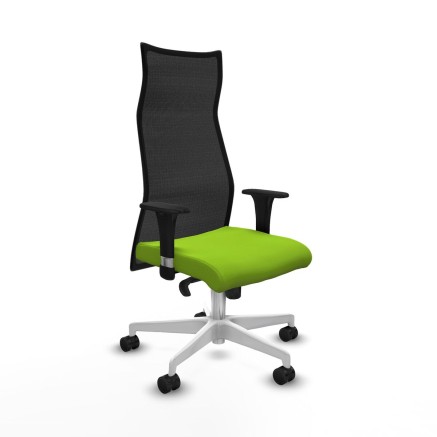 Sedia da Ufficio Albacete Piqueras y Crespo B1C026N Pistacchio