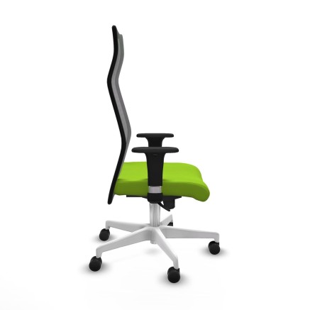 Chaise de Bureau Albacete Piqueras y Crespo B1C026N Pistache 2