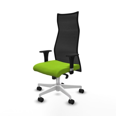 Office Chair Albacete Piqueras y Crespo B1C026N Pistachio