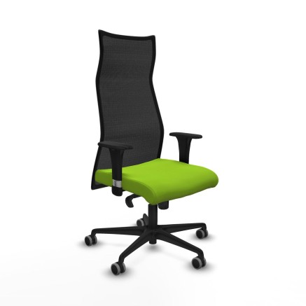 Chaise de Bureau Albacete Piqueras y Crespo B1C036G Pistache