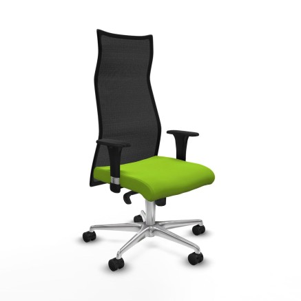Office Chair Albacete Piqueras y Crespo B1C086N Pistachio