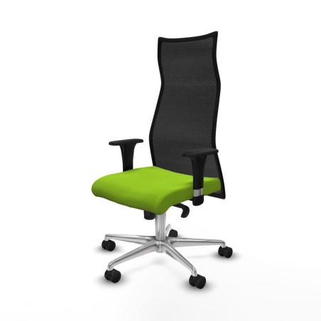 Office Chair Albacete Piqueras y Crespo B1C086N Pistachio