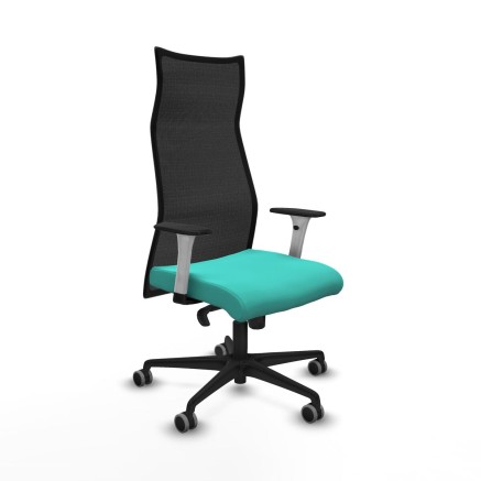 Chaise de Bureau Albacete Piqueras y Crespo B1B036G Turquoise