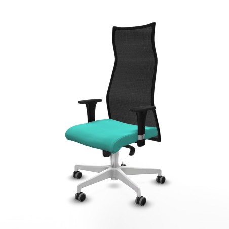 Office Chair Albacete Piqueras y Crespo B1C026G Turquoise