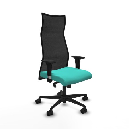 Sedia da Ufficio Albacete Piqueras y Crespo B1C036N Turchese