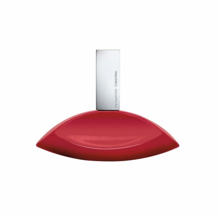 Damenparfüm Calvin Klein EUPHORIA EDP EDP 100 ml 2