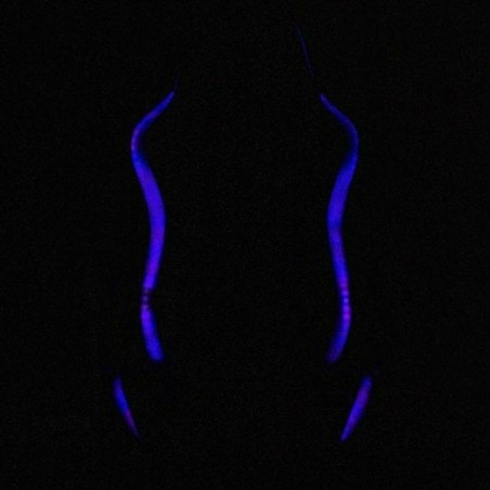 Chaise de jeu Woxter GM26-068 Noir RGB