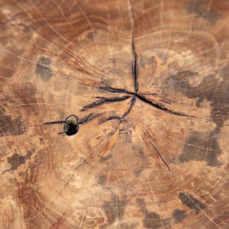 Centre Table Black Natural 80 x 80 x 45 cm