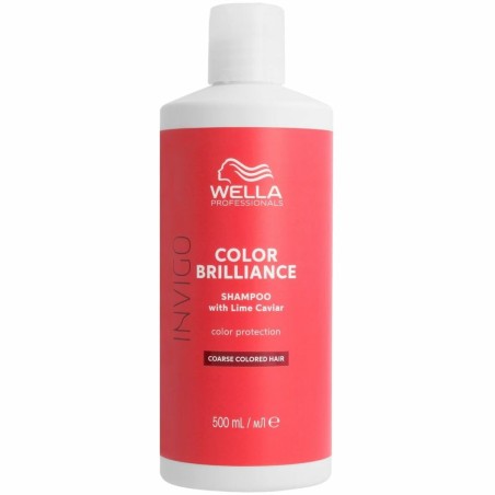Kleur Revitaliserende Shampoo Wella Invigo Color Brilliance Gekleurd H