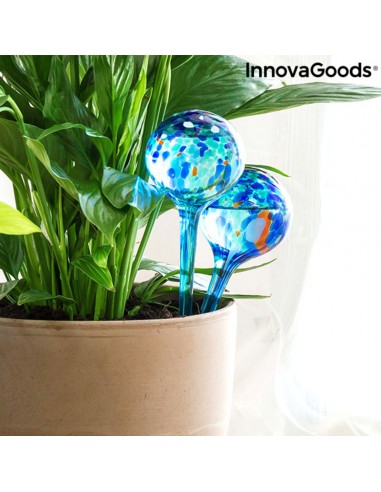 Automatic Watering Globes InnovaGoods...