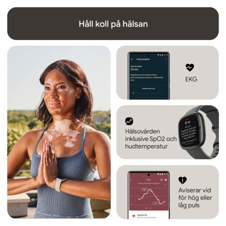 Montre intelligente Google Sense 2 Gris 1,58"