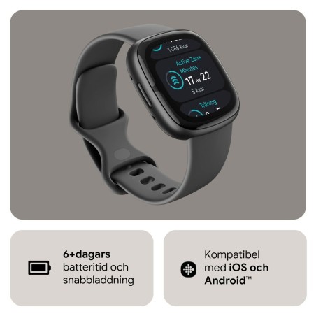 Montre intelligente Google Sense 2 Gris 1,58"