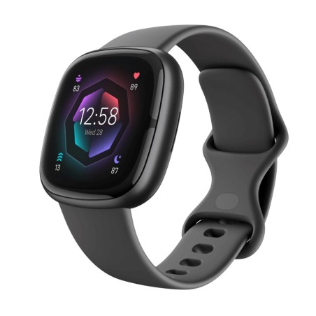 Montre intelligente Google Sense 2 Gris 1,58"