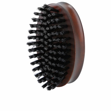 Brosse Lussoni  Oblongue Barbe