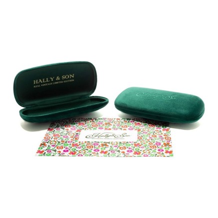 Occhiali da sole Unisex Hally & Son HS004S02 Ø 61 mm 2
