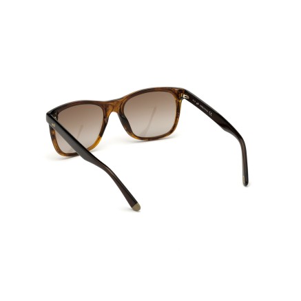Men's Sunglasses Web Eyewear WE0279-5652G ø 56 mm 2