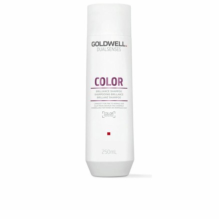 Champú Goldwell Color 250 ml 2