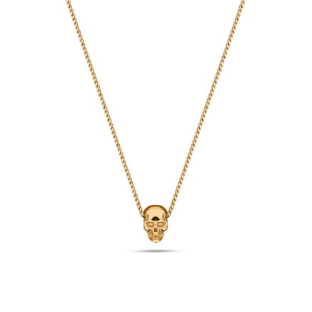Ketting Heren Police PEAGI2214702 50 cm