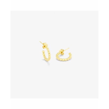 Damenohrringe Radiant RY000017 Edelstahl 2 cm 2
