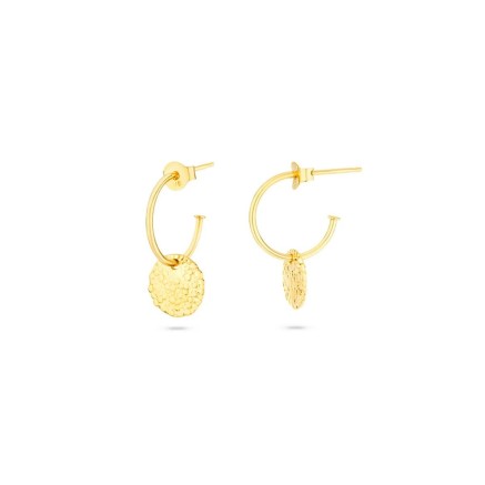 Oorbellen Dames Radiant RY000027 Roestvrij staal 2 cm