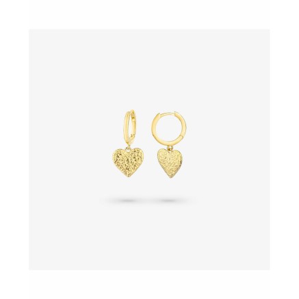 Oorbellen Dames Radiant RY000107 Roestvrij staal 2 cm 2