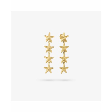 Damenohrringe Radiant RY000136 Edelstahl 4 cm 2
