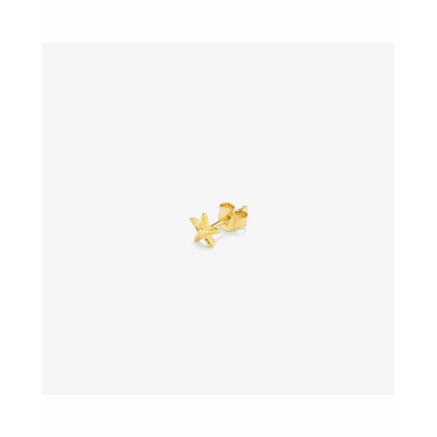 Boucles d´oreilles Femme Radiant RY000141 2