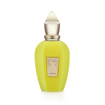 Uniseks Parfum Xerjoff Amabile EDP 50 ml 2
