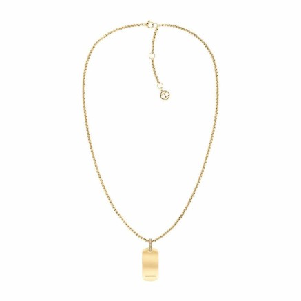 Ladies' Necklace Tommy Hilfiger 2780862 50 cm