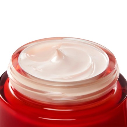 Day Cream Vichy LIFTACTIV 50 ml 2