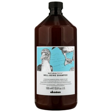 Moisturizing Shampoo Davines Well-Being 1 L