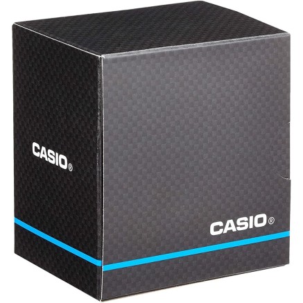 Horloge Heren Casio MW-240-1EVEF Zwart 2