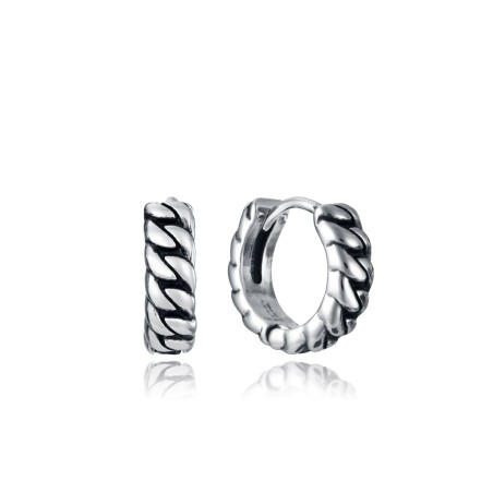 Oorbellen Viceroy 14143E01000