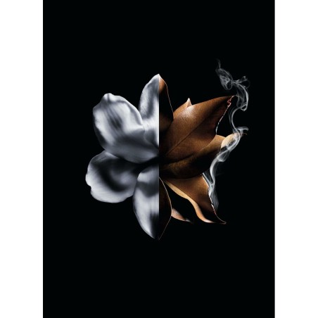 Profumo Donna Givenchy L'Interdit Absolu L'Interdit Absolu 50 ml