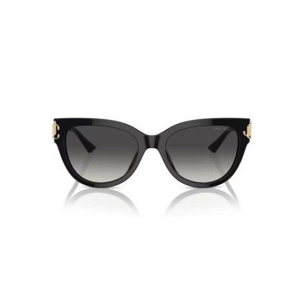 Damensonnenbrille Jimmy Choo JC 5018U 2