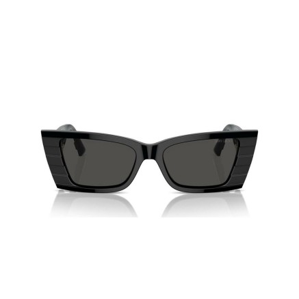 Ladies' Sunglasses Jimmy Choo JC 5009 2