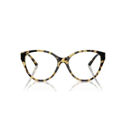 Montura de Gafas Jimmy Choo JC 3009 2