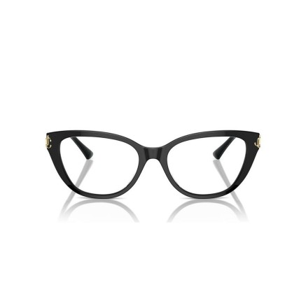 Montura de Gafas Jimmy Choo JC 3011 2